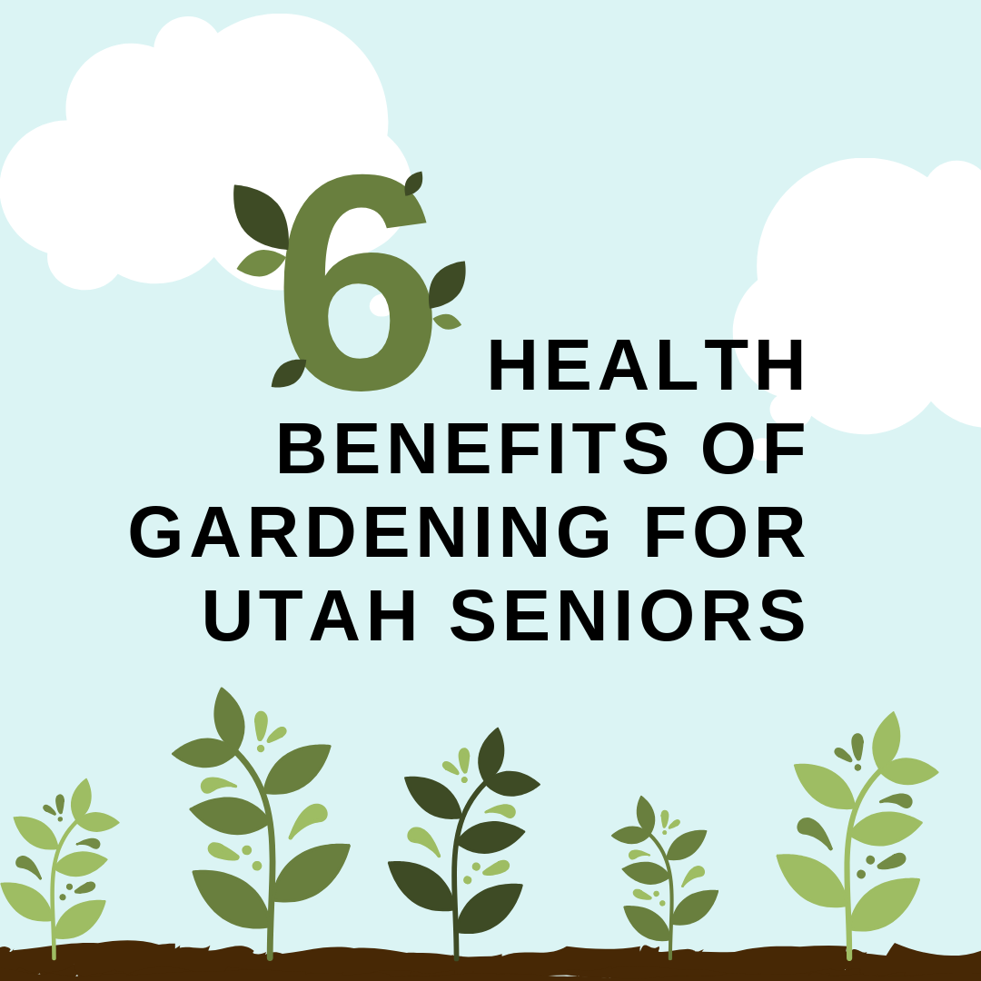 gardening benefits for seniors